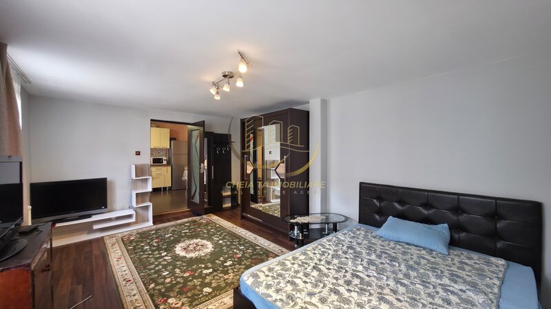 Calea Motilor, apartament 1 camera, curte si parcare pet-friendly, disponibil